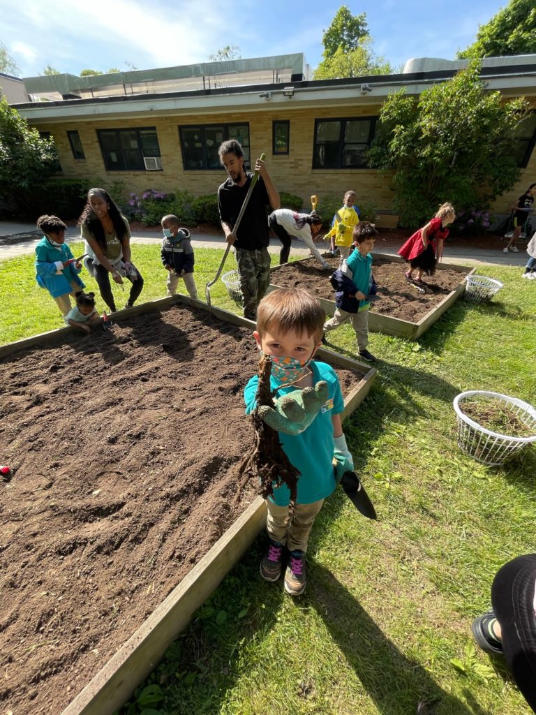 A Student holds up a root that he dug up during a family day. Families and students are visible next to garden beds and the school.